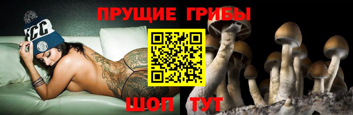 Псилоцибиновые грибы мухоморы Ухта